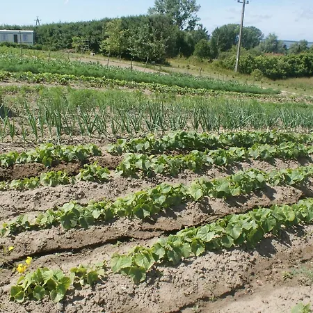 Agrodomki Okej -dom Kasjan Casa vacanze Gardna Wielka