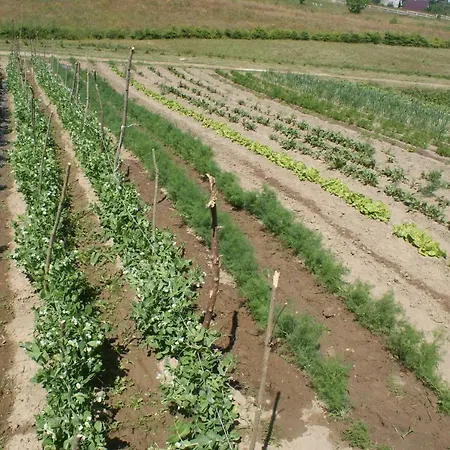 Agrodomki Okej -dom Kasjan
