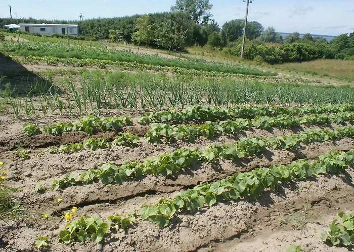 Agrodomki Okej -dom Kasjan بيت للعطل Gardna Wielka